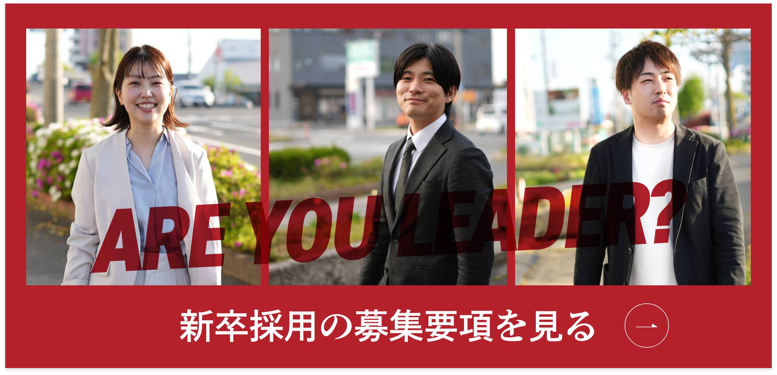 新卒採用